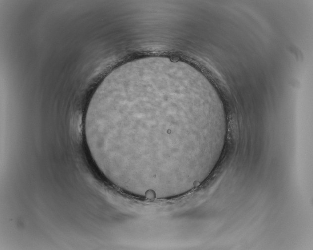 X0000112890024200909041711
