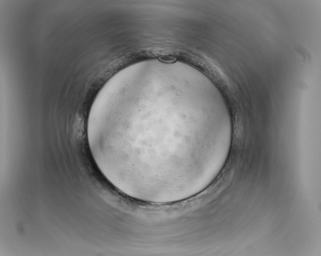 X0000112890025200909041711