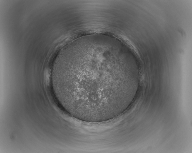 X0000112890026200909041711