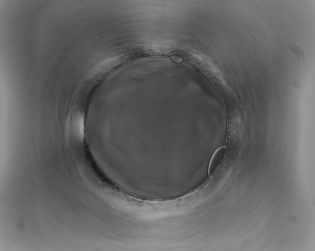 X0000112890027200909041711