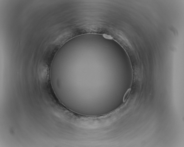 X0000112890029200909041711