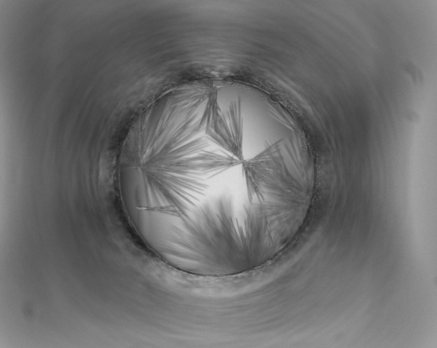 X0000112890030200909041711