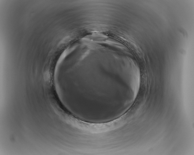 X0000112890031200909041711