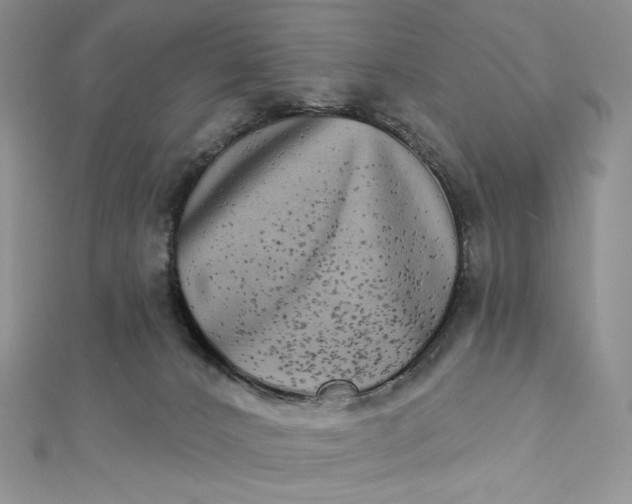 X0000112890032200909041711