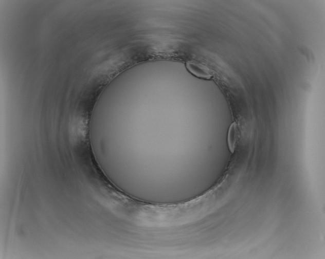 X0000112890033200909041711