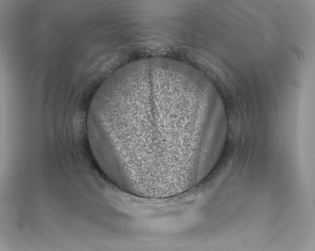 X0000112890034200909041711