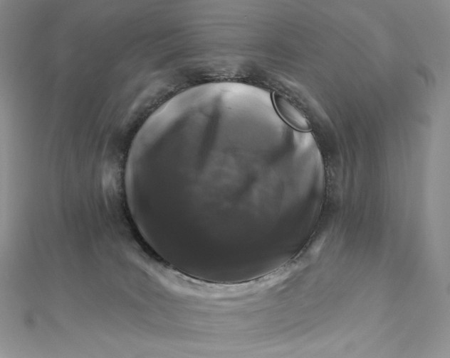 X0000112890035200909041711