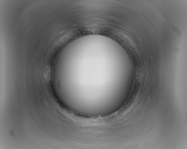 X0000112890036200909041711