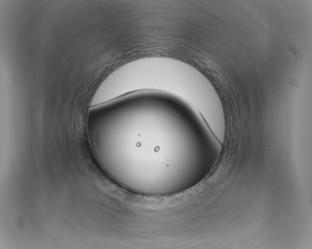 X0000112890037200909041711