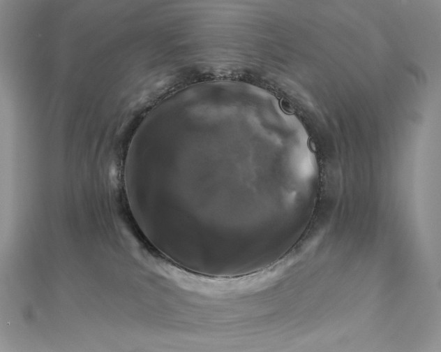 X0000112890039200909041711
