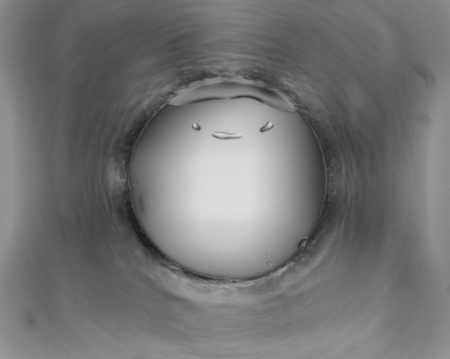 X0000112890040200909041711