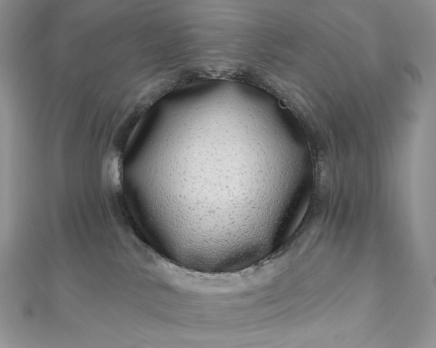 X0000112890042200909041711