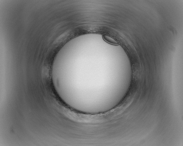X0000112890044200909041711