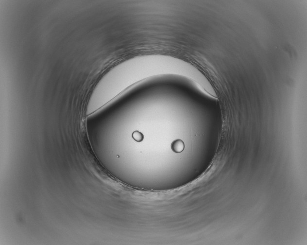 X0000112890045200909041711
