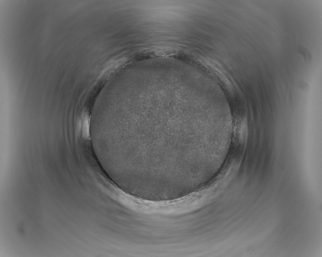 X0000112890046200909041711