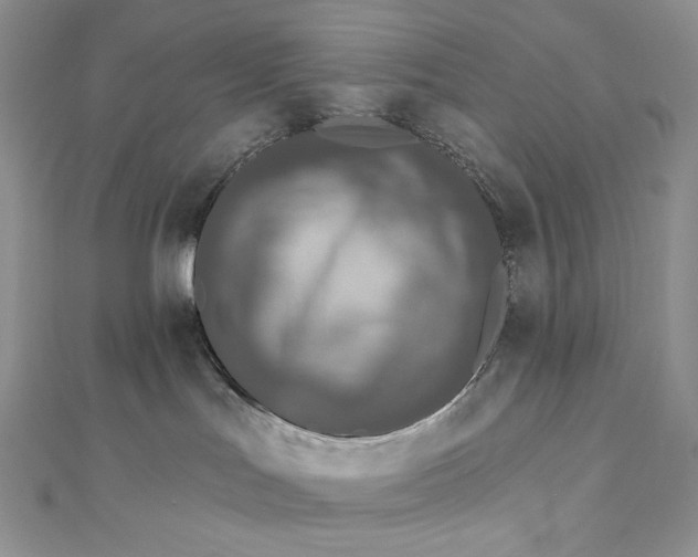X0000112890047200909041711