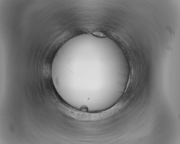 X0000112890048200909041711