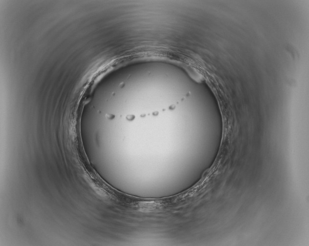 X0000112890050200909041710