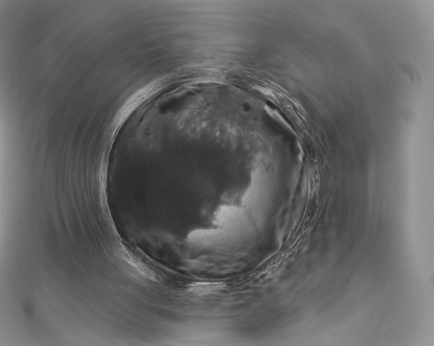X0000112890051200909041710