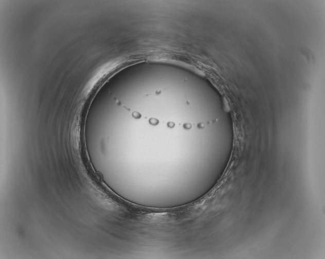 X0000112890054200909041710