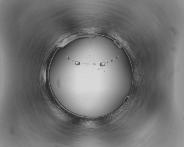 X0000112890062200909041710