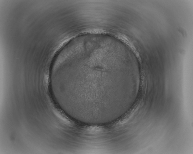 X0000112890063200909041710