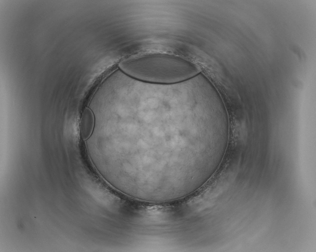 X0000112890064200909041710