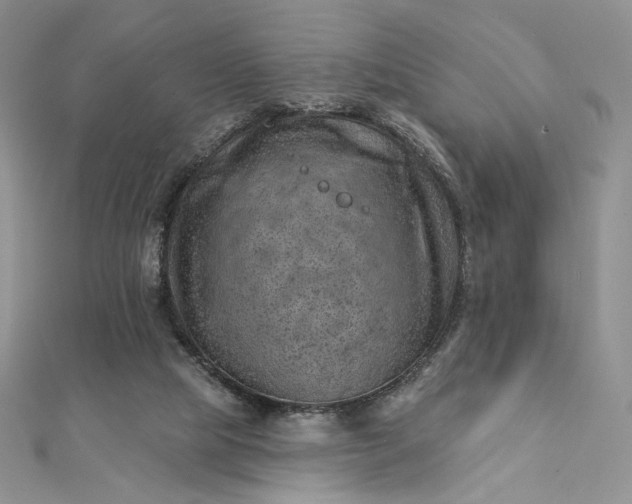 X0000112890065200909041710