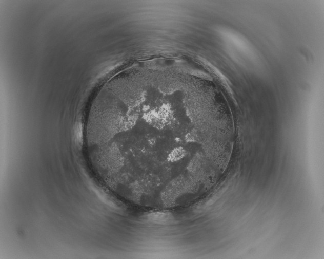 X0000112890067200909041710