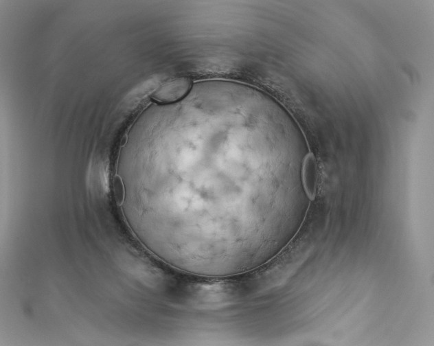 X0000112890068200909041710