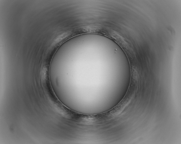 X0000112890071200909041710