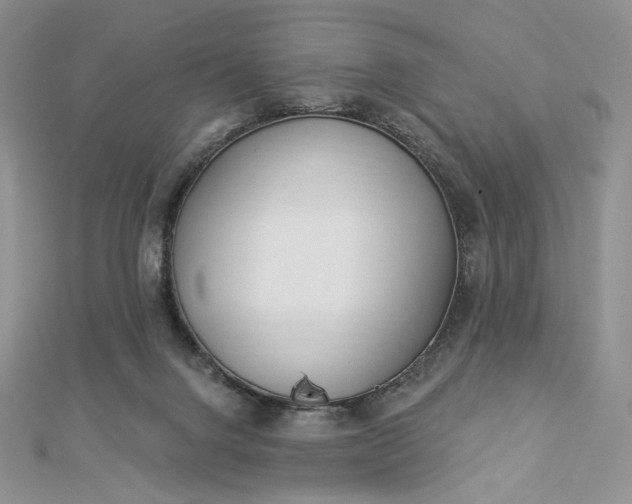 X0000112890072200909041710