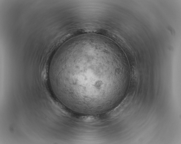 X0000112890074200909041710