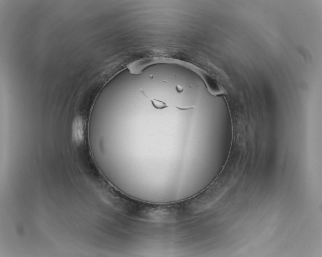 X0000112890075200909041710