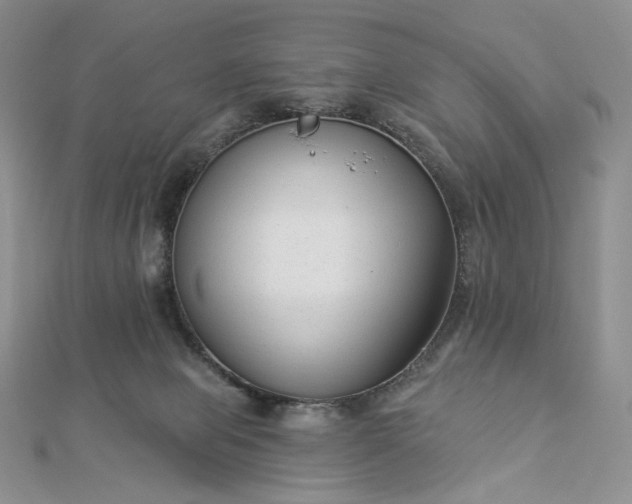 X0000112890077200909041710