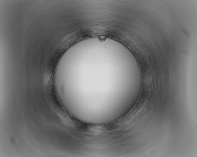 X0000112890079200909041710