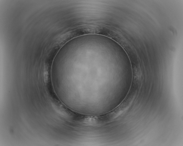 X0000112890080200909041710