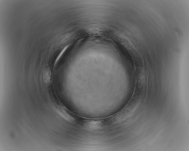 X0000112890081200909041710