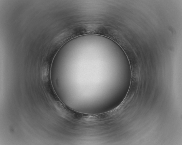 X0000112890082200909041710