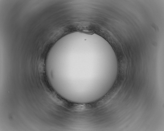 X0000112890083200909041710