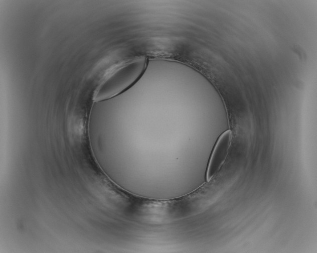 X0000112890084200909041710