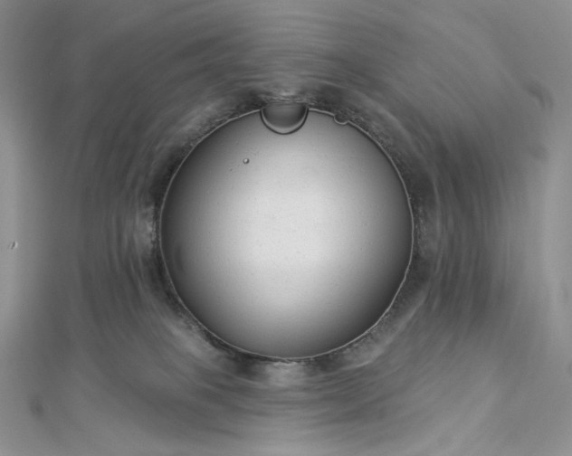X0000112890085200909041710