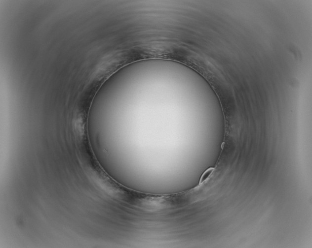 X0000112890086200909041710
