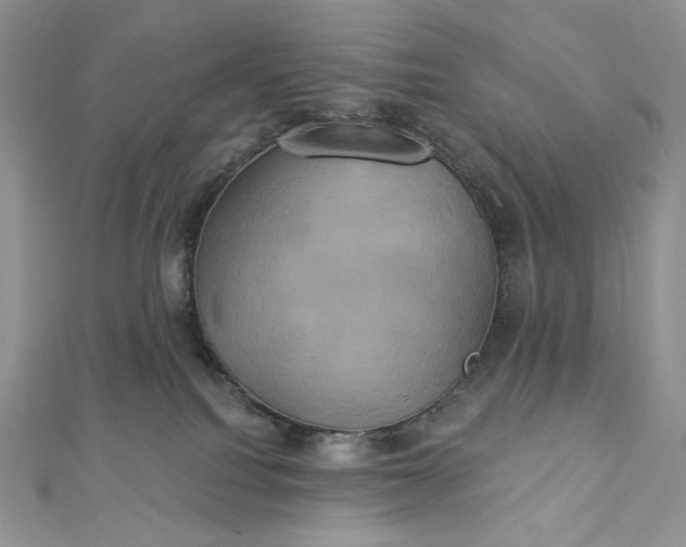 X0000112890088200909041710