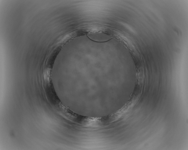 X0000112890093200909041710
