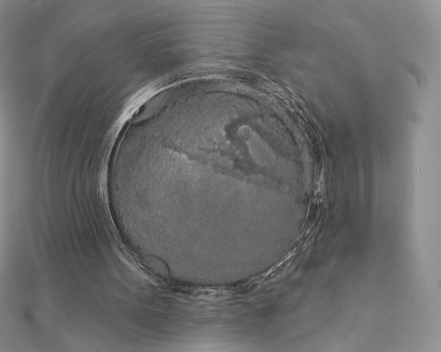 X0000112890099200909041710