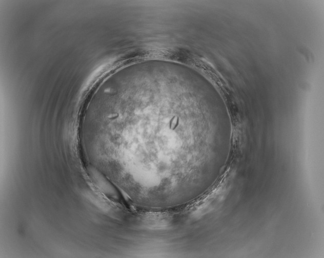 X0000112890101200909041710