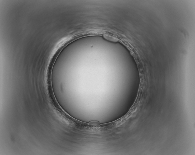 X0000112890104200909041710