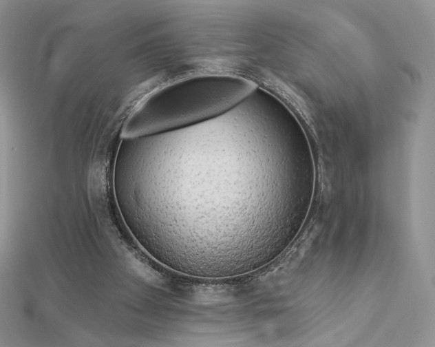 X0000112890105200909041710