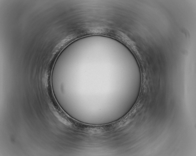 X0000112890106200909041710